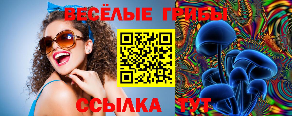 Псилоцибиновые грибы GOLDEN TEACHER Железногорск